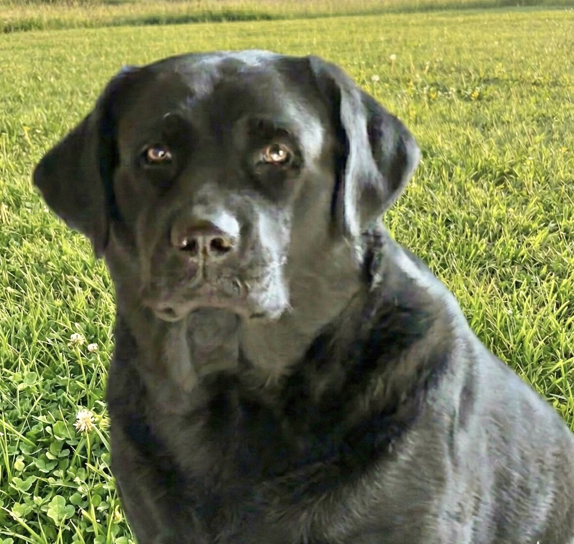 Mythic's Neon Lunar Eclipse (Moon)