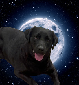 Mythic's Neon Lunar Eclipse (Moon)