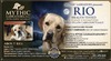 Mythic's Radian River (Rio)
